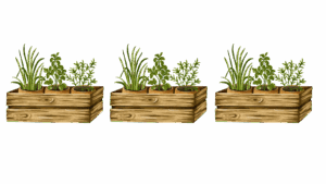 Durch Feng Shui mehr Kreativität im Arbeitszimmer: Hier siehst du drei Blumenkästen nebeneinander als Deko-Elemente.